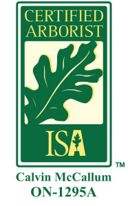 isa-logo-CLC