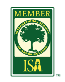 ISA Member