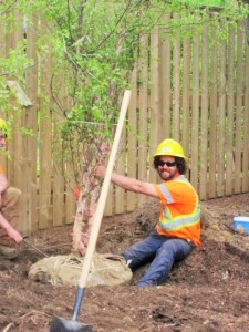 Tree Planting is the focus of Earth Day Canada 2016