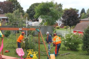 emergency storm cleanup