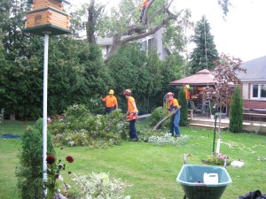 storm cleanup