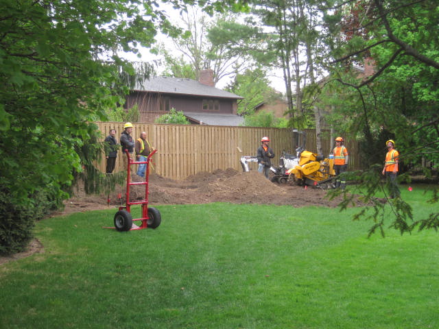 The hole left by the loss of 10 hand-planted trees in the Lindley's back yard