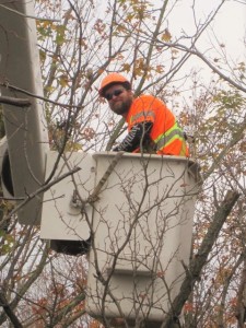 Luke in the bucket