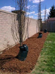 The benefits of natural mulch in your landscaping are numerous