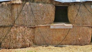 Straw bales are great for bedding animals, biomass fuels, crafts AND mulch