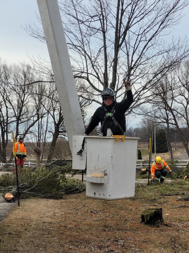 Arborist in bucket truck