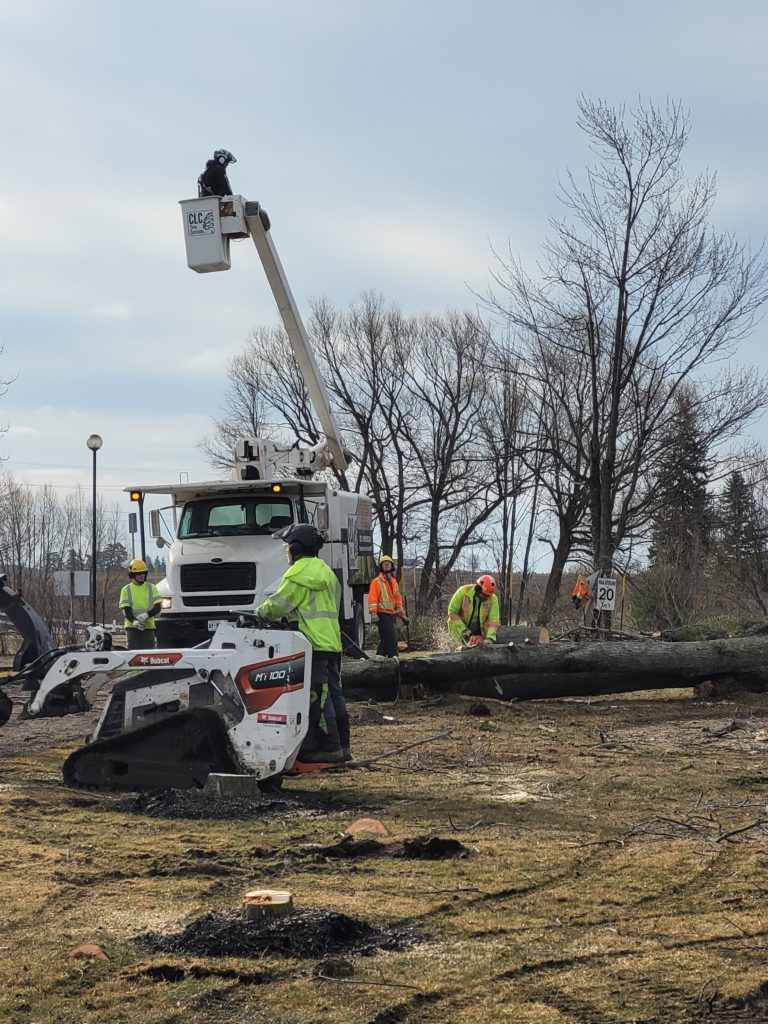 Group effort for land clearing 